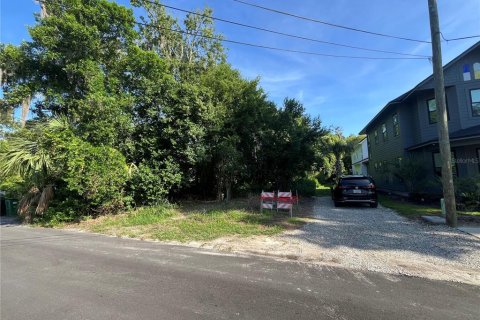 Land in Gainesville, Florida № 1886147 - photo 1
