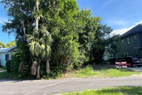 Land in Gainesville, Florida № 1886147 - photo 5
