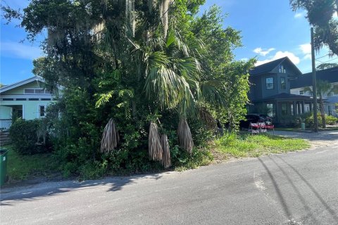 Land in Gainesville, Florida № 1886147 - photo 4