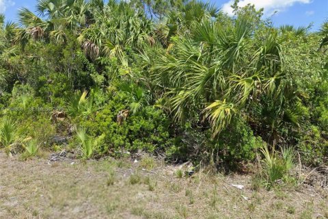 Land in Palm Bay, Florida № 2158131 - photo 2
