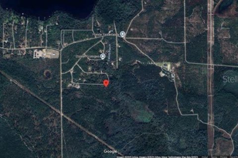 Land in Florahome, Florida № 2163878 - photo 5