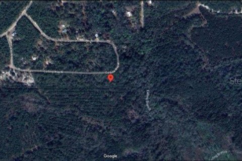 Land in Florahome, Florida № 2163878 - photo 4