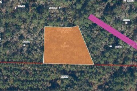 Land in Florahome, Florida № 2163878 - photo 3