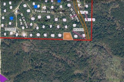 Land in Florahome, Florida № 2163878 - photo 2