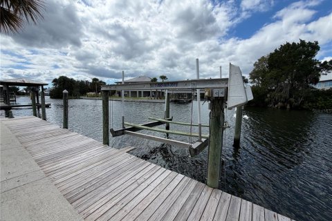 Casa en venta en Crystal River, Florida, 3 dormitorios, 239.32 m2 № 2387666 - foto 11