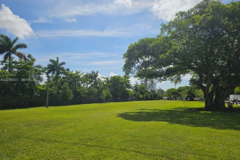 Copropriété à louer à Miami, Floride: 1 chambre, 43.2 m2 № 2182203 - photo 19