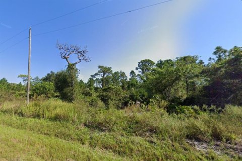 Land in Okeechobee, Florida № 1885402 - photo 2