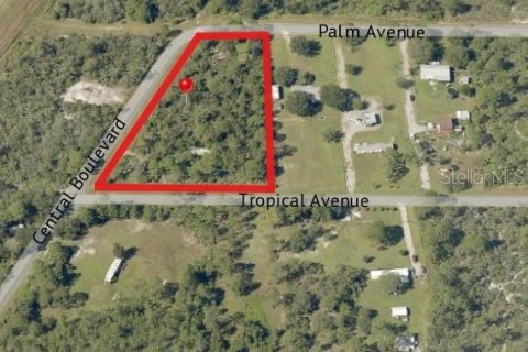 Land in Okeechobee, Florida № 1885402 - photo 7