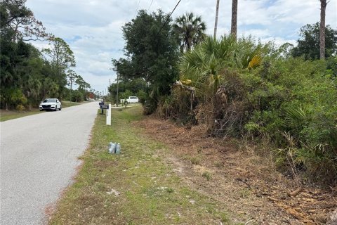 Land in North Port, Florida № 2159855 - photo 13