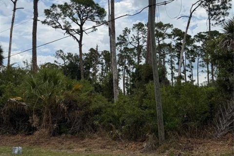 Land in North Port, Florida № 2159855 - photo 14