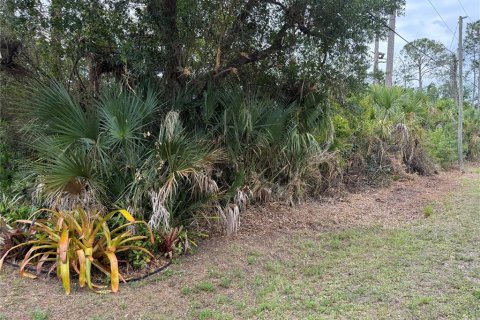 Land in North Port, Florida № 2159855 - photo 3