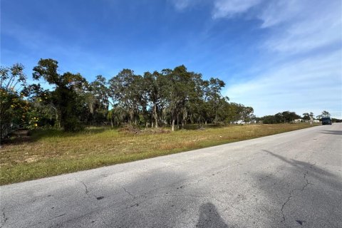Terrain à vendre à Lake Wales, Floride № 2099950 - photo 4