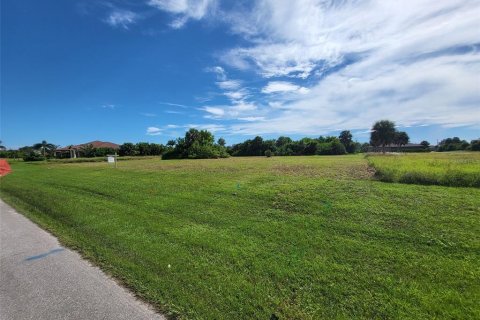 Land in Rotonda, Florida № 1919517 - photo 6