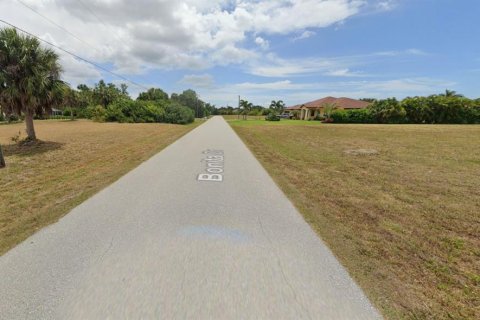 Land in Rotonda, Florida № 1919517 - photo 5