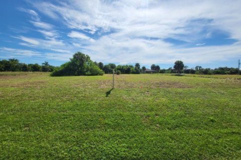 Land in Rotonda, Florida № 1919517 - photo 7