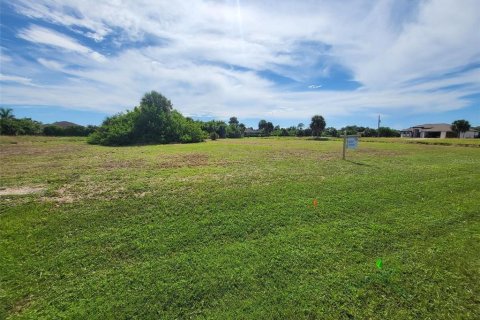 Land in Rotonda, Florida № 1919517 - photo 8