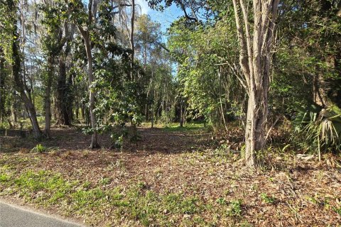 Terrain à vendre à Gainesville, Floride № 2205861 - photo 6