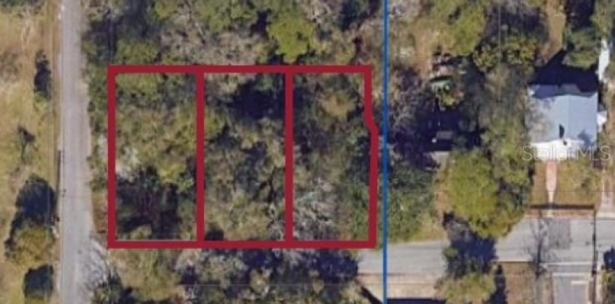 Terrain à Gainesville, Floride № 2205861