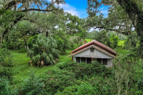 Terrain à vendre à Webster, Floride № 2385713 - photo 6