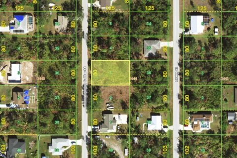 Land in Englewood, Florida № 2158922 - photo 2