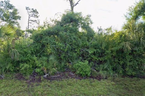 Land in Englewood, Florida № 2158922 - photo 6