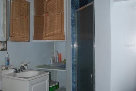 Villa ou maison à vendre à Palm Harbor, Floride: 3 chambres, 104.24 m2 № 2209652 - photo 15