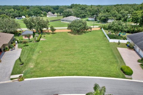 Land in Lakeland, Florida № 1324178 - photo 1
