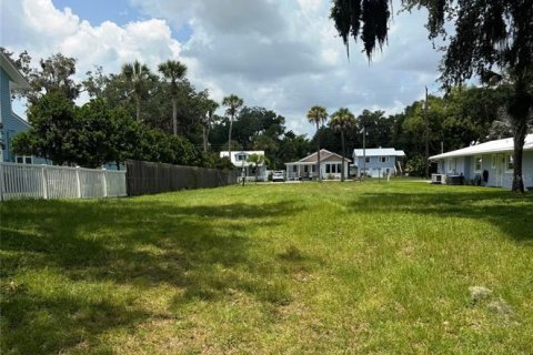 Land in New Smyrna Beach, Florida № 2205324 - photo 2