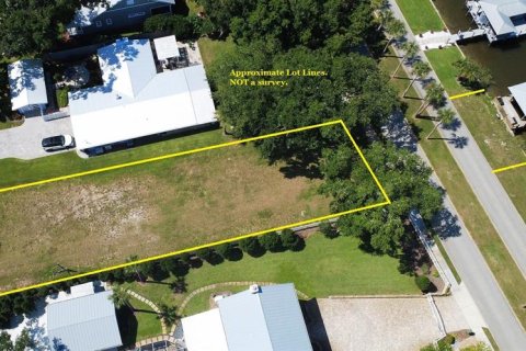 Land in New Smyrna Beach, Florida № 2205324 - photo 13