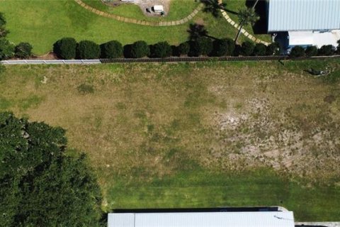 Land in New Smyrna Beach, Florida № 2205324 - photo 10