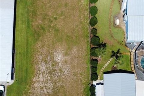 Land in New Smyrna Beach, Florida № 2205324 - photo 8