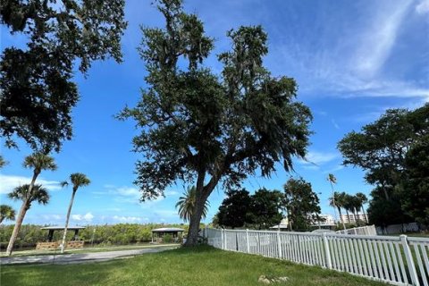 Land in New Smyrna Beach, Florida № 2205324 - photo 7