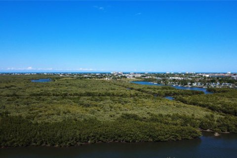Land in New Smyrna Beach, Florida № 2205324 - photo 26