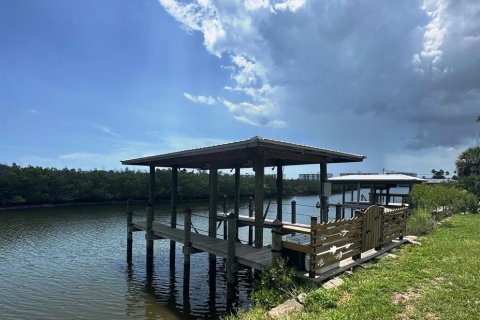 Land in New Smyrna Beach, Florida № 2205324 - photo 18