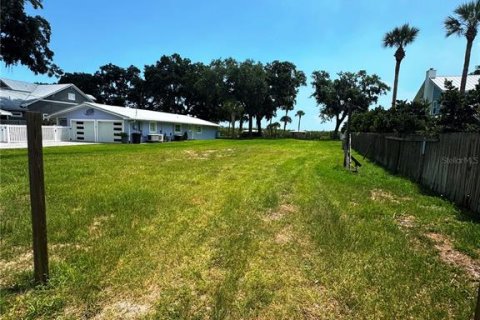 Land in New Smyrna Beach, Florida № 2205324 - photo 4