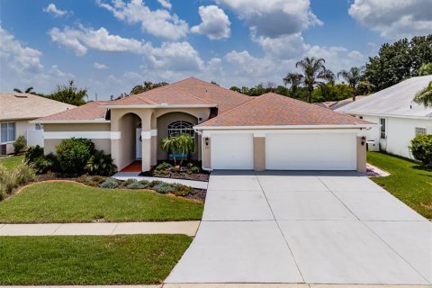 Villa ou maison à Sun City Center, Floride 3 chambres, 172.33 m2 № 2199884