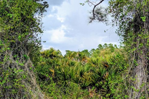 Land in North Port, Florida № 2160515 - photo 5