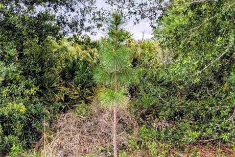 Land in North Port, Florida № 2160515 - photo 4