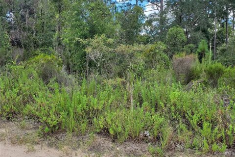 Land in Williston, Florida № 2162887 - photo 2