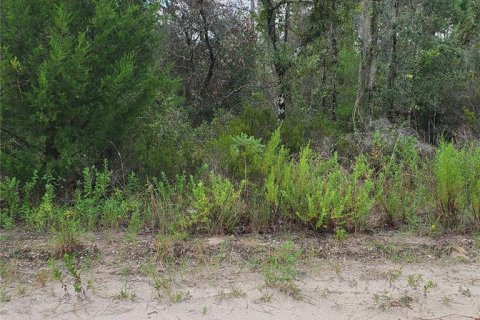 Land in Williston, Florida № 2162887