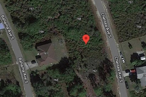 Land in Lehigh Acres, Florida № 2163307 - photo 2