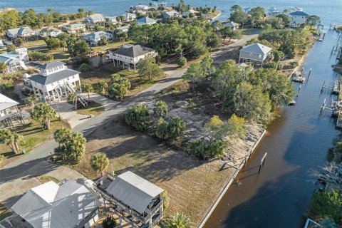 Terreno en venta en Panacea, Florida № 1783022 - foto 10