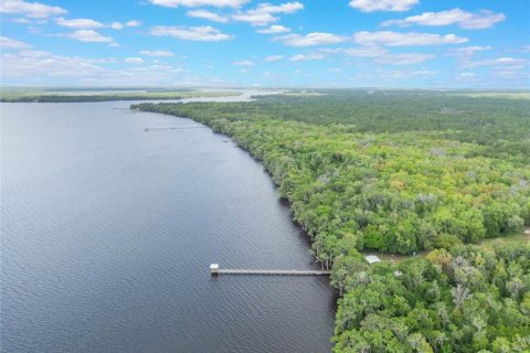 Land in Georgetown, Florida № 2163746 - photo 24