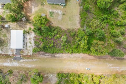 Land in Georgetown, Florida № 2163746 - photo 6