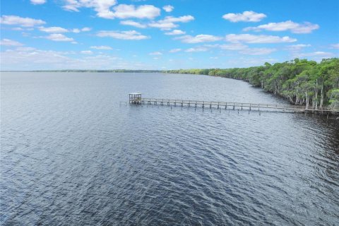 Land in Georgetown, Florida № 2163746 - photo 18