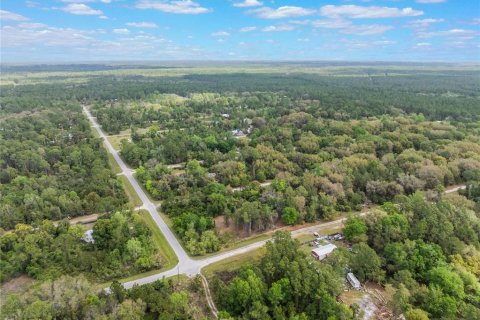 Land in Georgetown, Florida № 2163746 - photo 7