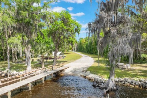 Land in Georgetown, Florida № 2163746 - photo 28