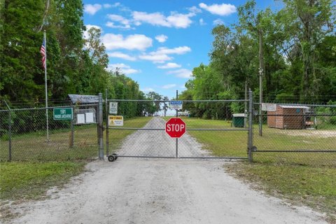 Land in Georgetown, Florida № 2163746 - photo 8
