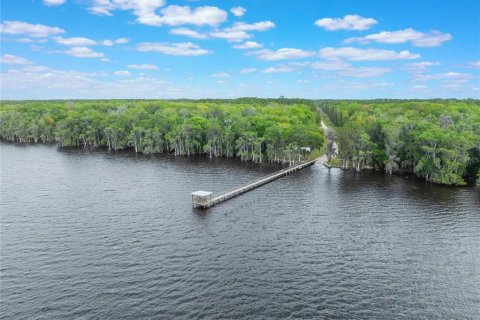 Land in Georgetown, Florida № 2163746 - photo 13