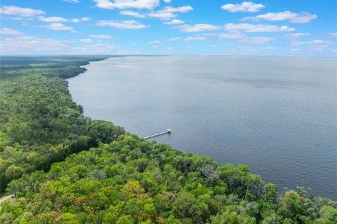 Land in Georgetown, Florida № 2163746 - photo 26
